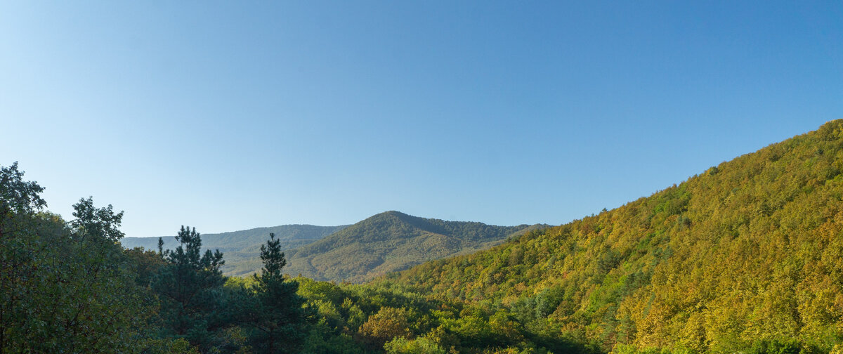 Авторское фото/Adobe Stock