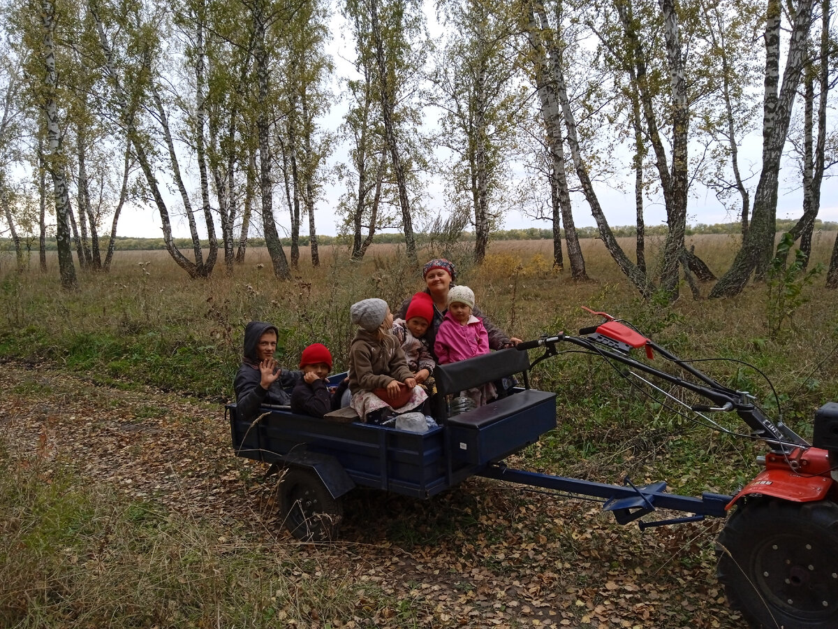 В лес за грибами