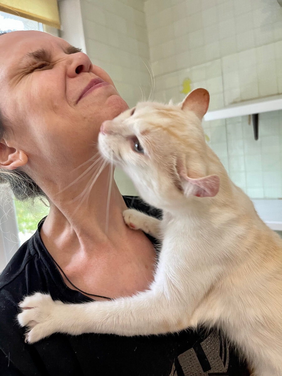 Хвост, он же Шнурок. Клички не знает, главное - прилипнуть