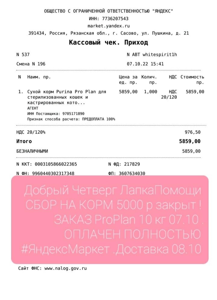 © ВСЕ ОТТЕНКИ КОШАЧЬЕГО 
