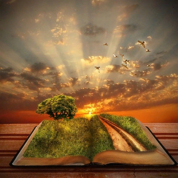 В любой момент лист перевернётся. яндекс. картинки