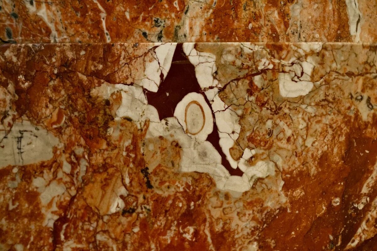 Брахиоподы, станция метро «Площадь Восстания»