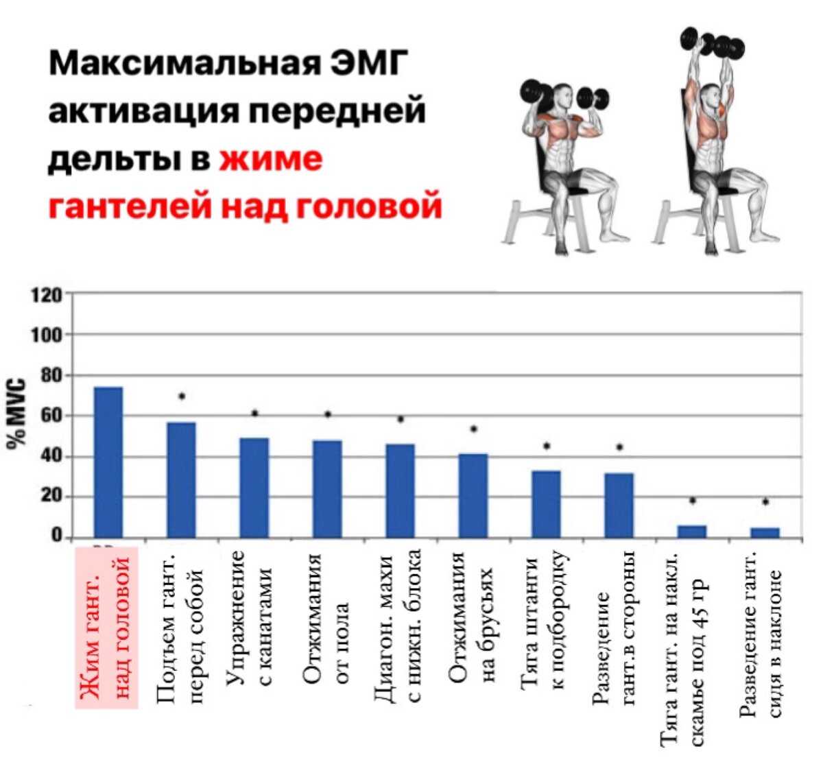 Лучшее упражнение на переднюю дельтовидную