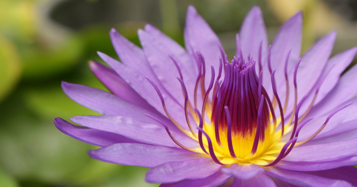 Фото: freepik.com