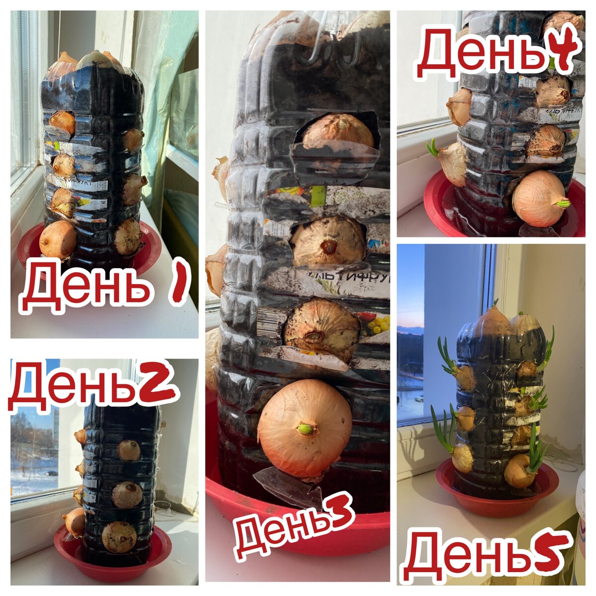 Здесь по дням наш прогресс 