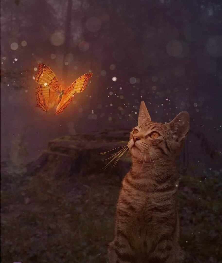 фото использовано в качестве иллюстрации. Источник "Яндекс.Картинки"