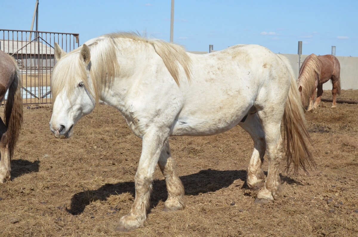 фото Fermer.ru ©