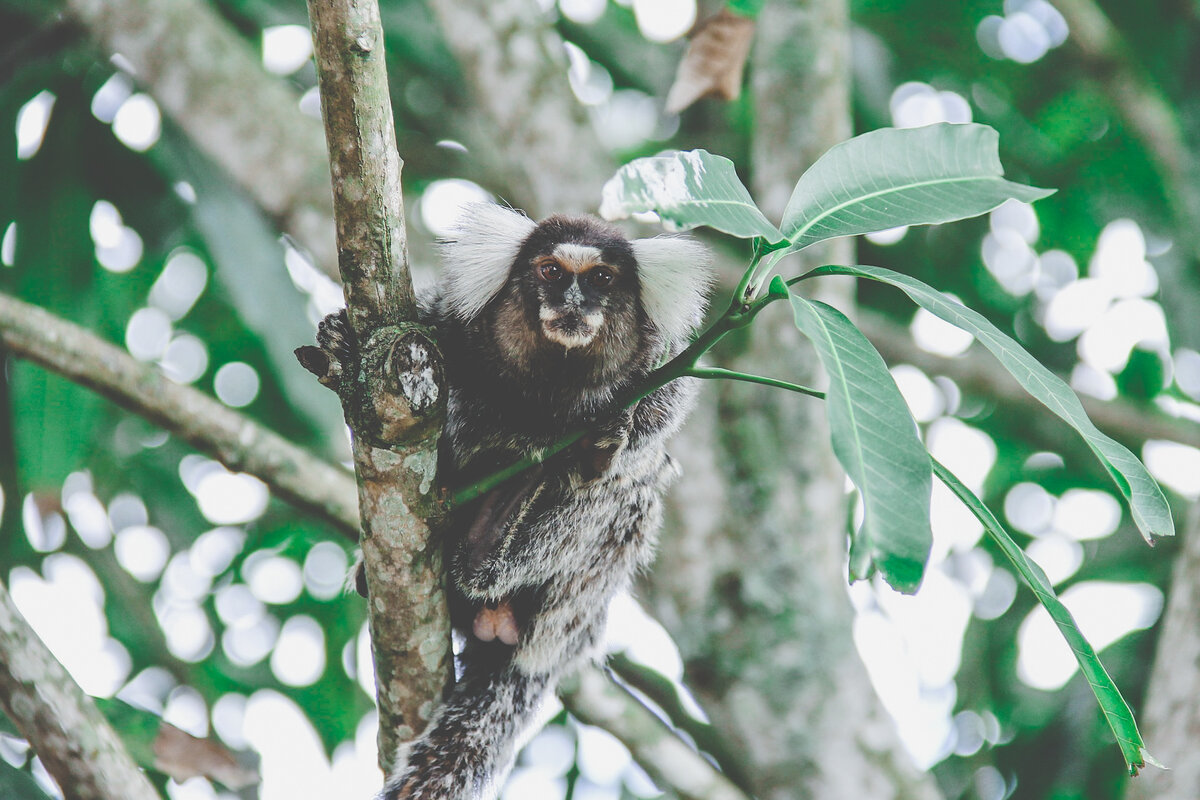 ©feraugustodesign /pixabay.com
