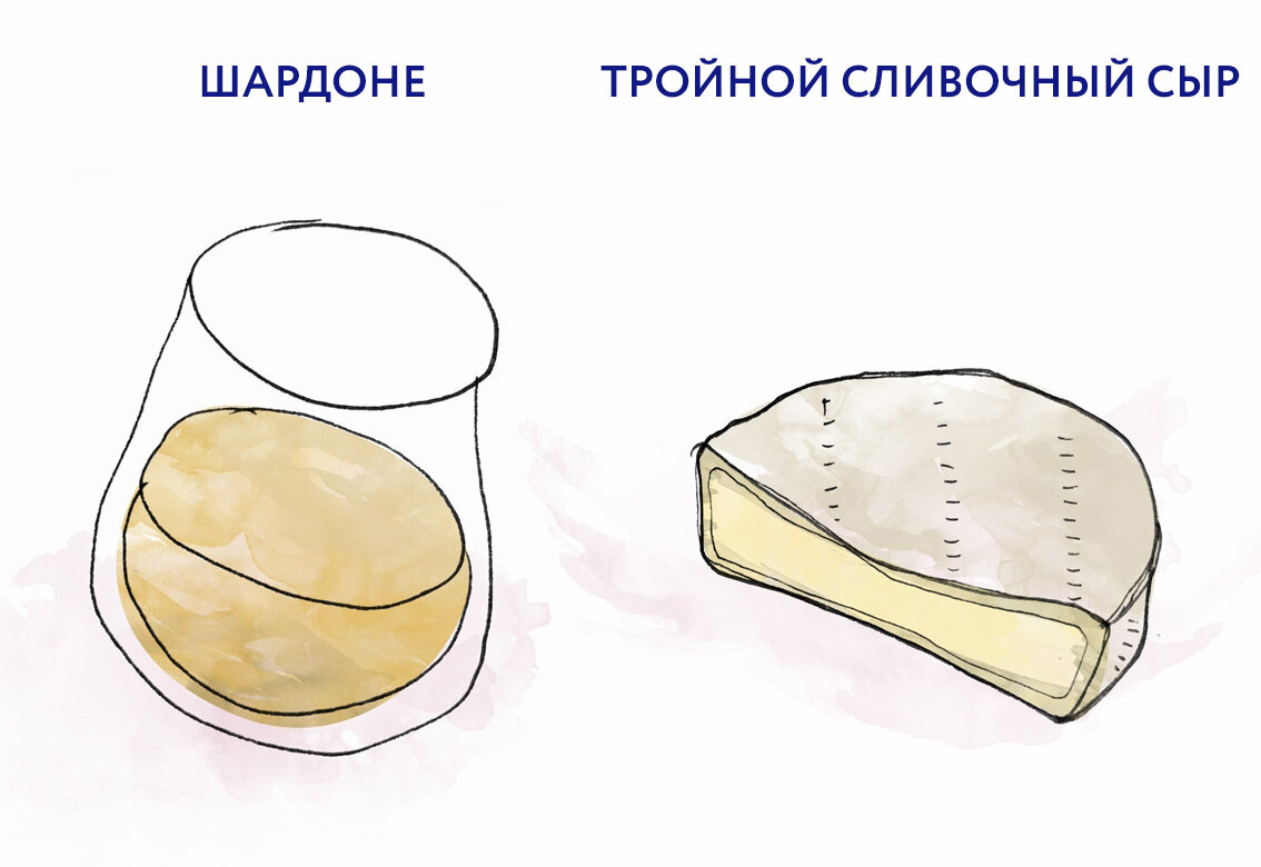 Вино Шардоне прекрасно сочетается с сырами в стиле Бри.