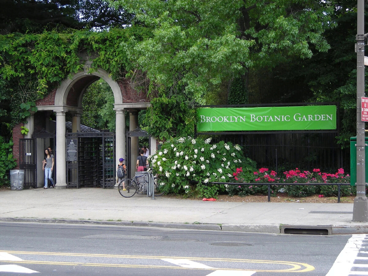 Ботанический сад Нью Йорка вход