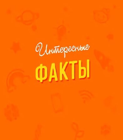 Интересные Факты!