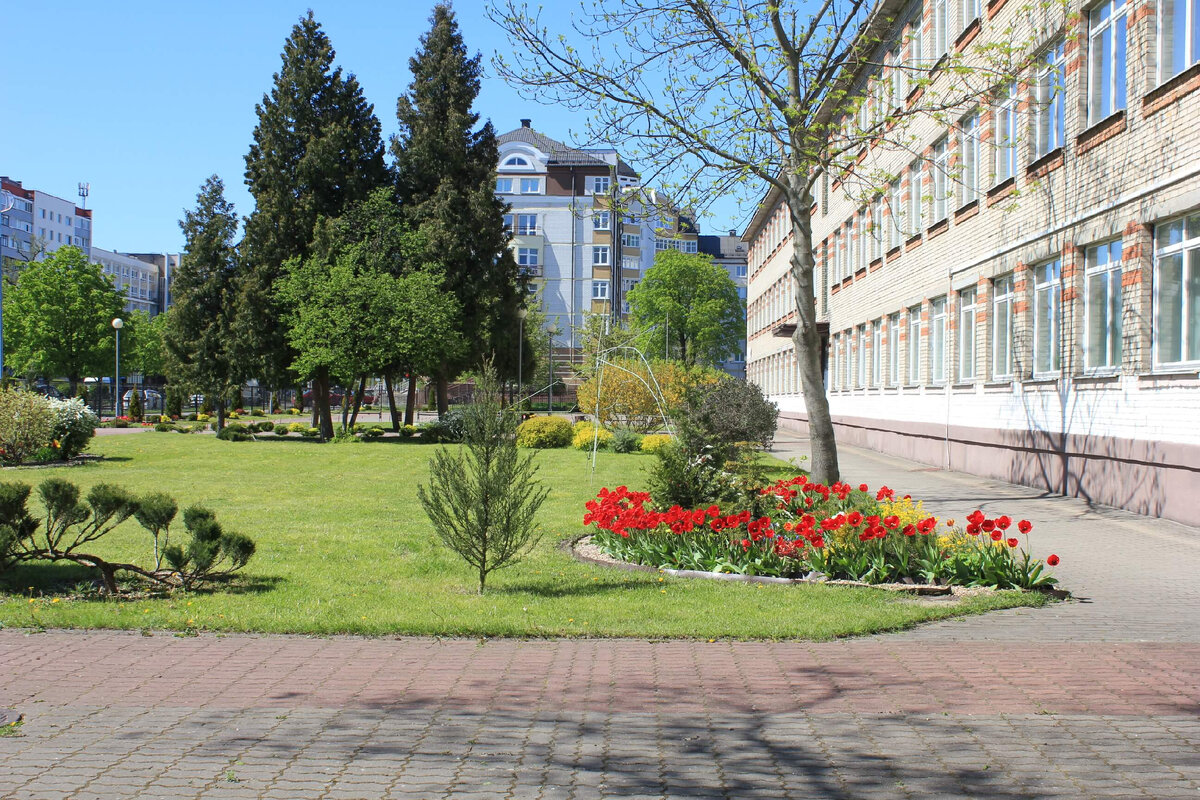 Школа в Бресте