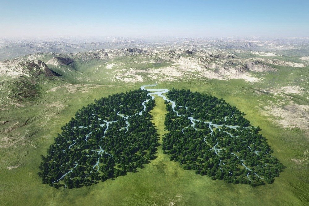 Нет, всё не так...