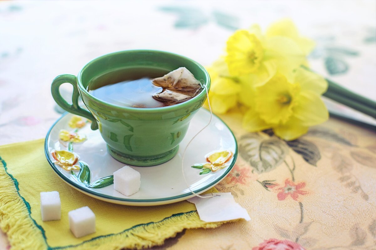 Изображение Jill Wellington с сайта Pixabay 