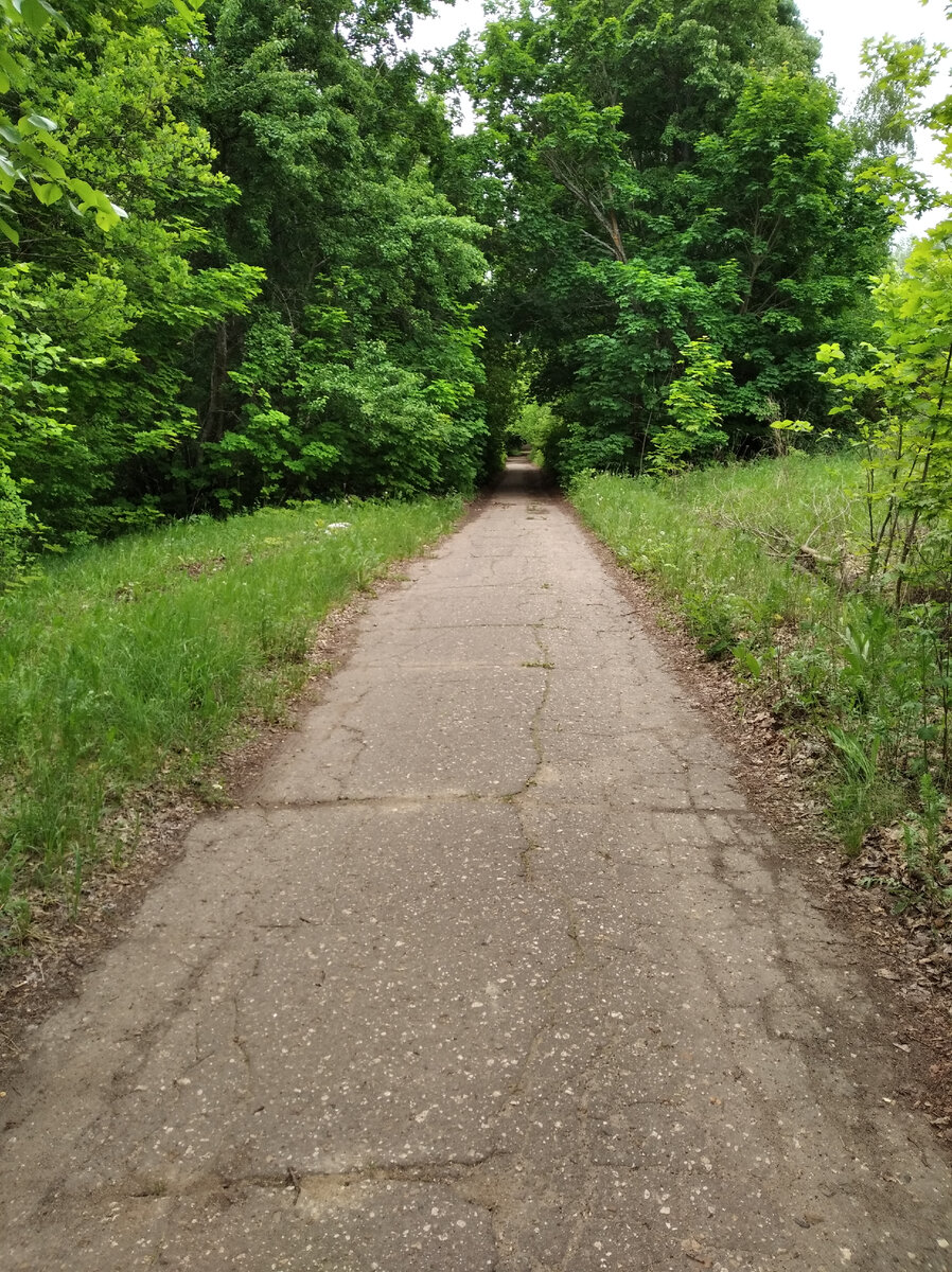 Дорога жизни, что там впереди-непонятно