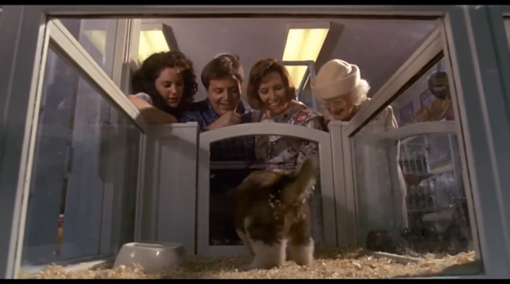 Появление Бетховена. Анаморфотный объектив ?