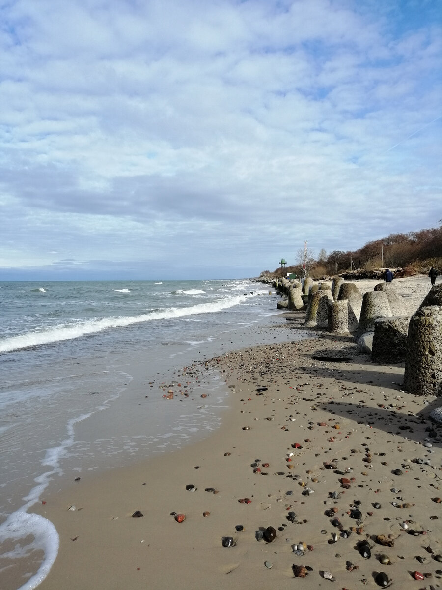 Куршская коса, фото из архива автора