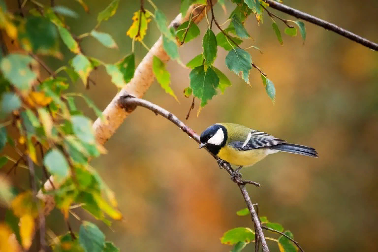 Фото взято с открытых источников.