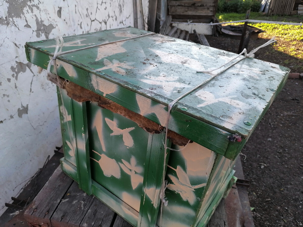 Снаряженная ловушка для "бродячих" роёв. Фото автора.