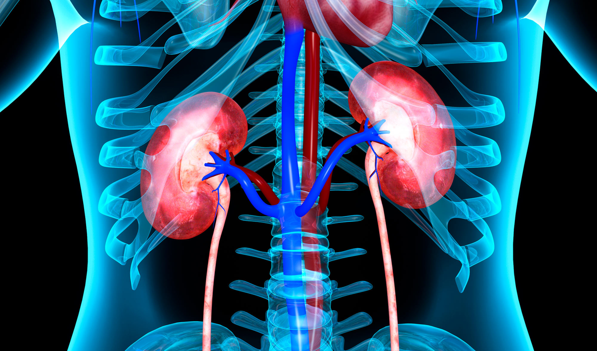 Картинка взята из яндекс.картинки
