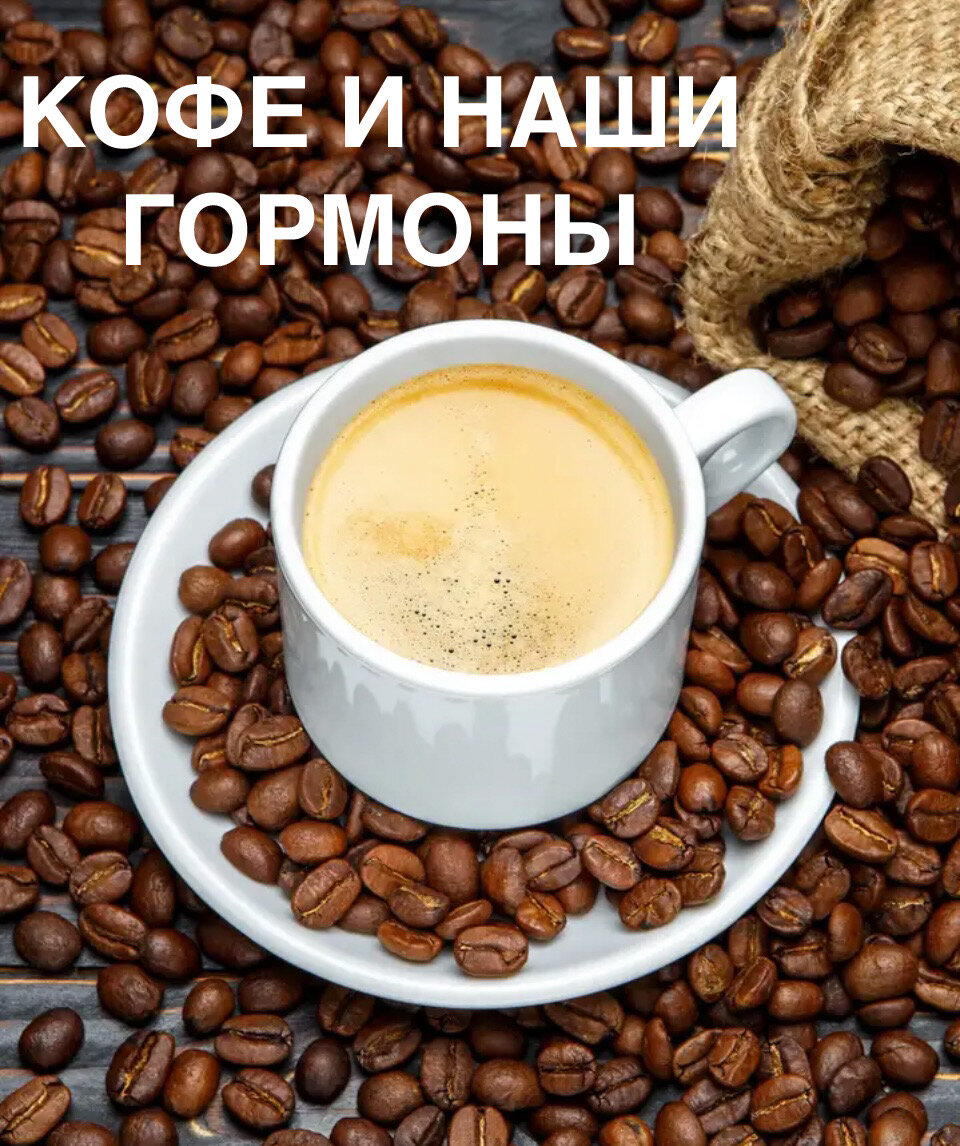 За чашкой кофе дзен навигация. Серийный убийца фишер-лихте. Навигатор канала жизненные истории. Кофе повышает уверенность. За чашкой кофе дзен навигация.