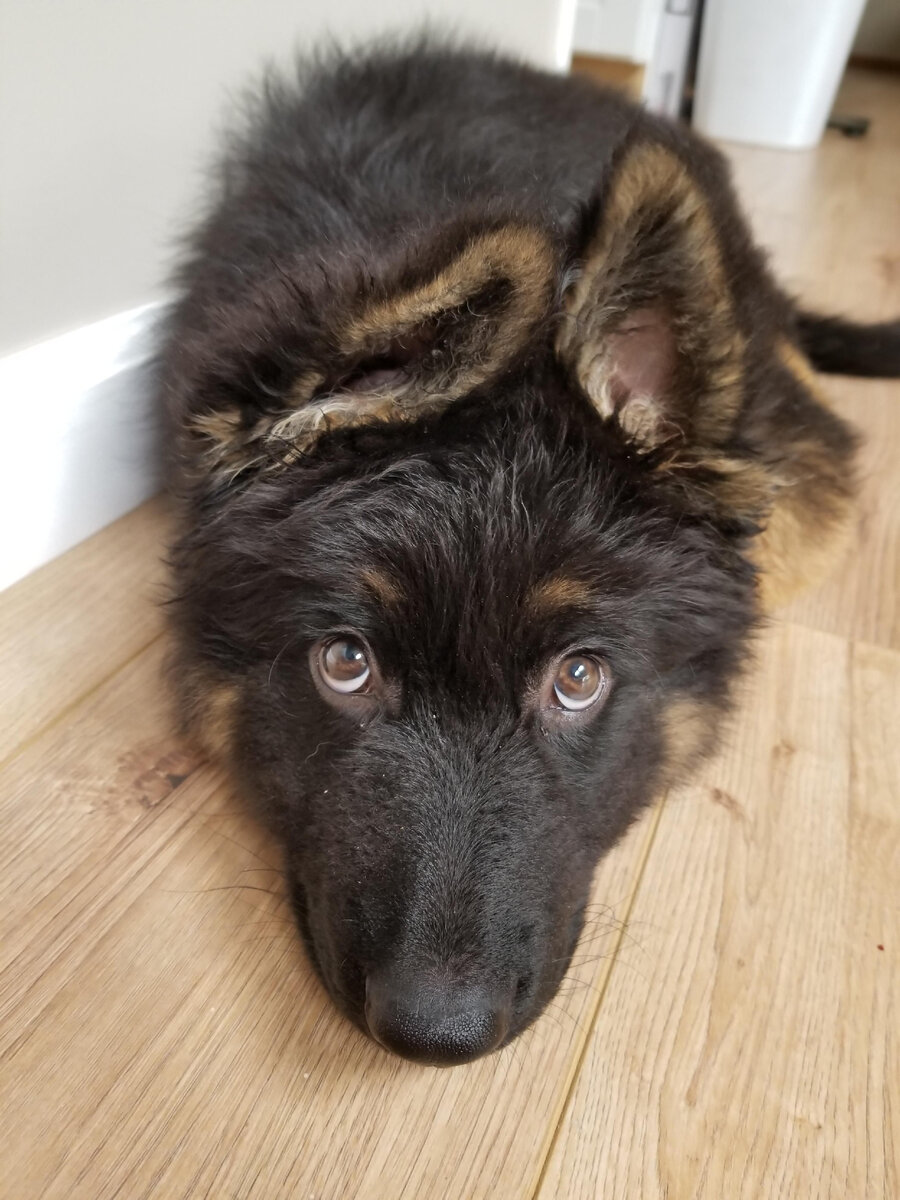 Источник-https://www.pinterest.ru/pin/639089003346504612/