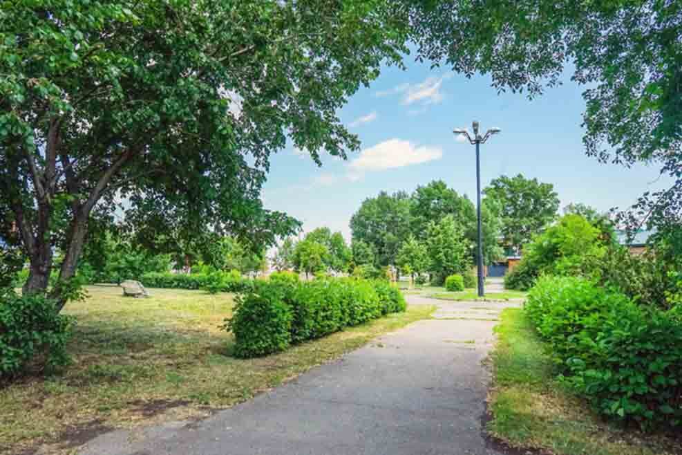 Материал Юлии Петрушиной