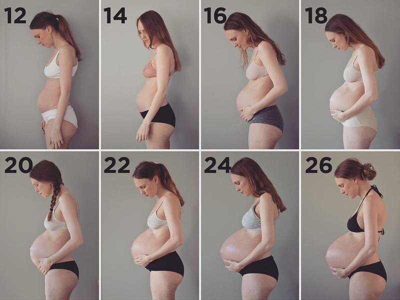 Как растёт живот при беременности
