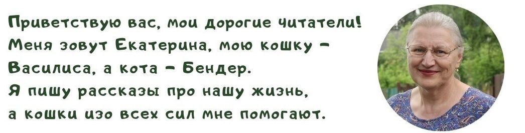 Бенечка – кот опасливый, хотя ко всем мохнатым и хвостатым существам расположен вполне дружелюбно. Он без меня на участок не ходит. Иду я на кухню (в другой домик), Бенюша под ногами восьмёрки выписывает. Я в душ – кот за мной. Заглядится на травку, на жука майского, а меня уже нет рядом – стремглав несётся в дом и с перепугу на чердак прячется. Страшно!