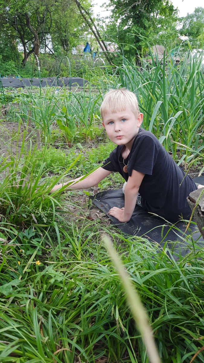 Ярослав занимается прополкой.