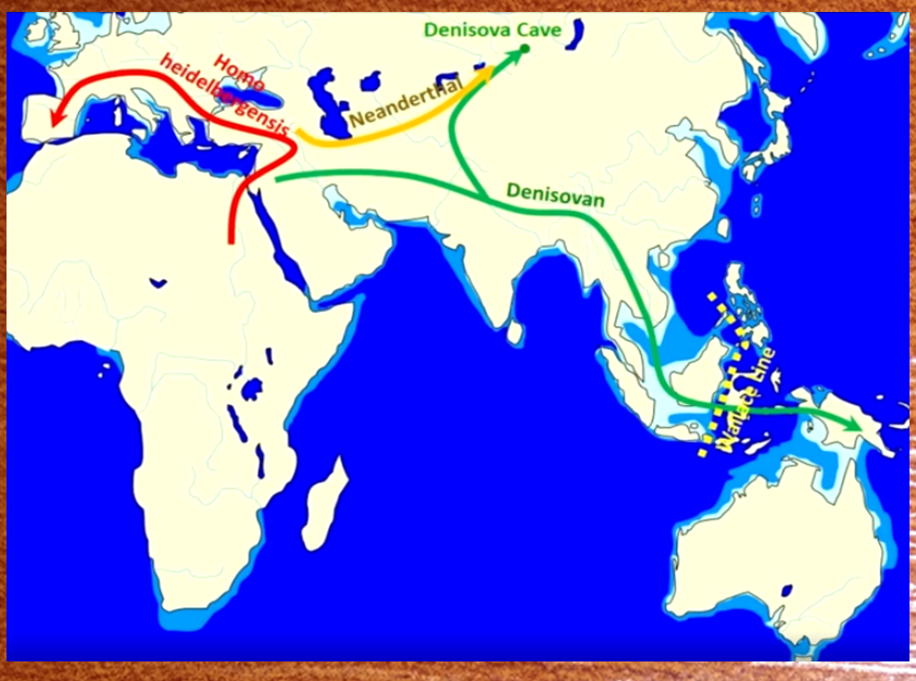 Карта миграции древних гомининов.