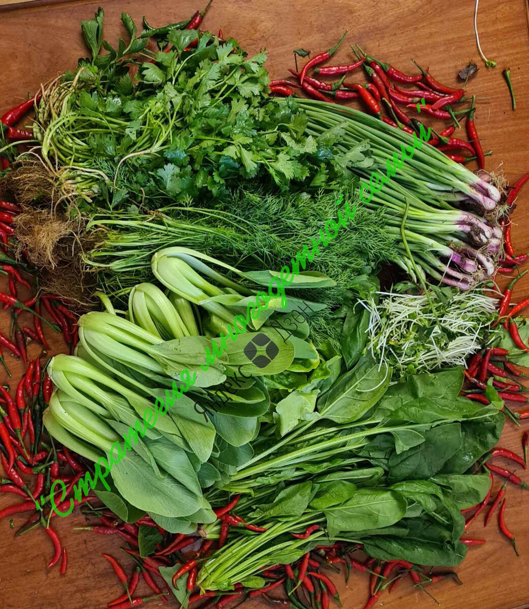 Все это разнообразие на 120 рублей! Тут больше килограмма