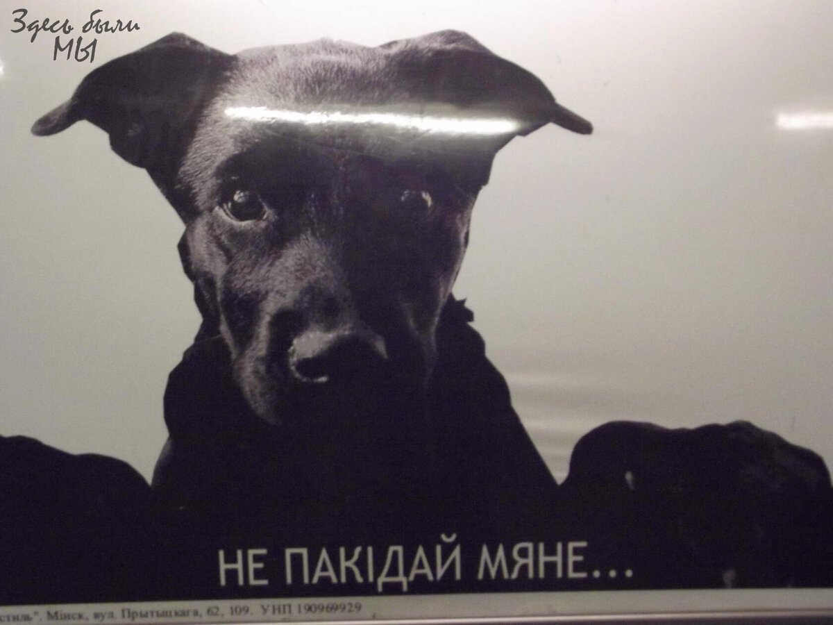 Плакат в Одессе.