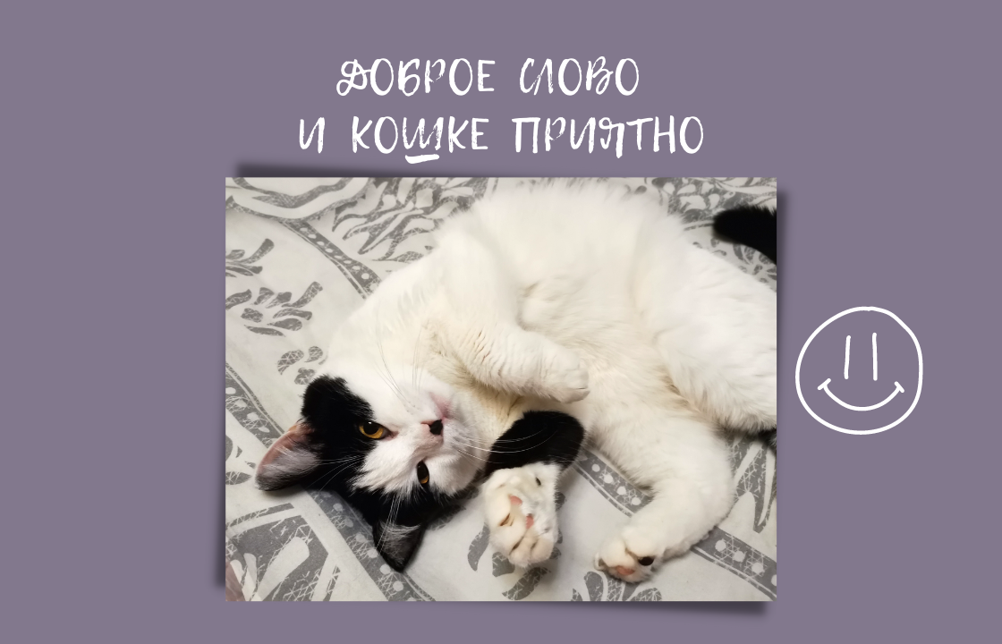 Это наша кошка Машка. Её судьба могла бы сложиться совсем по-другому, если бы не добрые люди, которые подобрали облезлого котёнка у мусорки, обогрели, накормили, подлечили. Из кошачьего приюта Машка попала к нам. 
