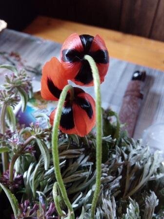 черный крест!