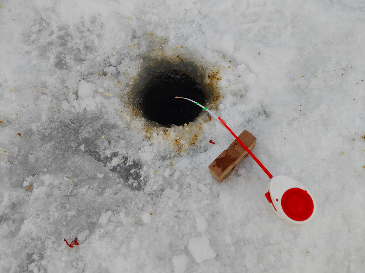 Мормышки для плотвы зимней рыбалки на плотву. Безмотылки болотникова. Безмотылка на плотву. Наживка тесто зимой. Тесто для рыбалки на плотву зимой.