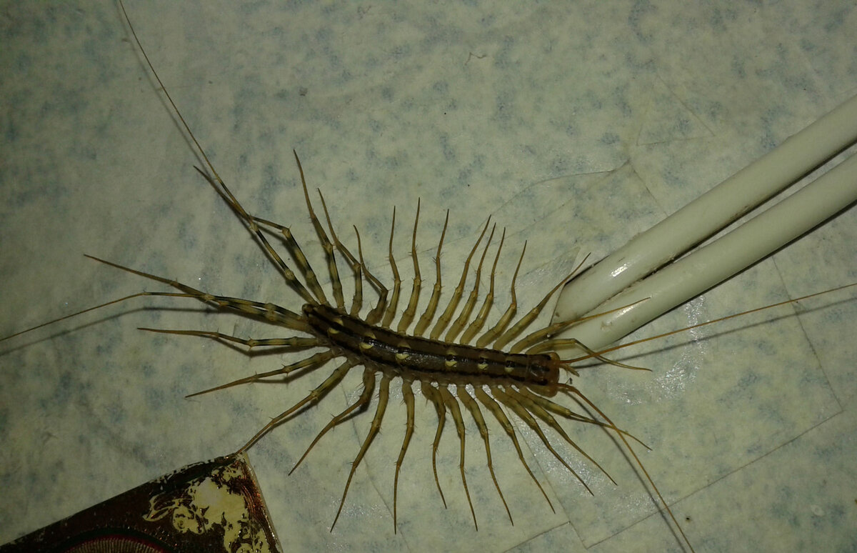 Личное фото (12.04.16)