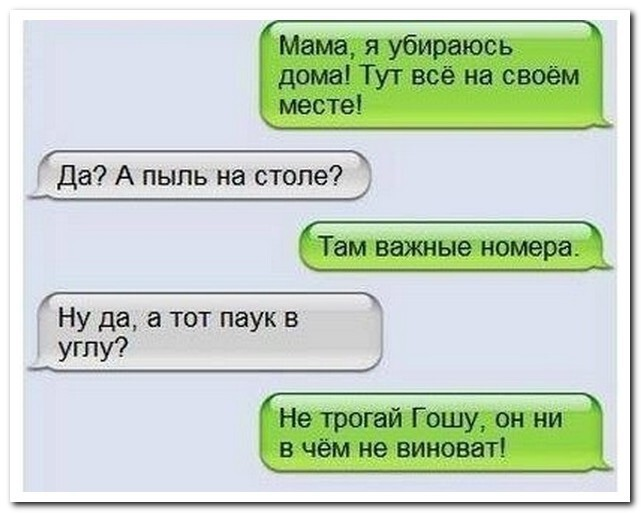 Я прибрал. Не трогай Гошу он ни в чем не виноват. Приколы про Гошу. Шутки про Гошу смешные. Анекдот про пыль.