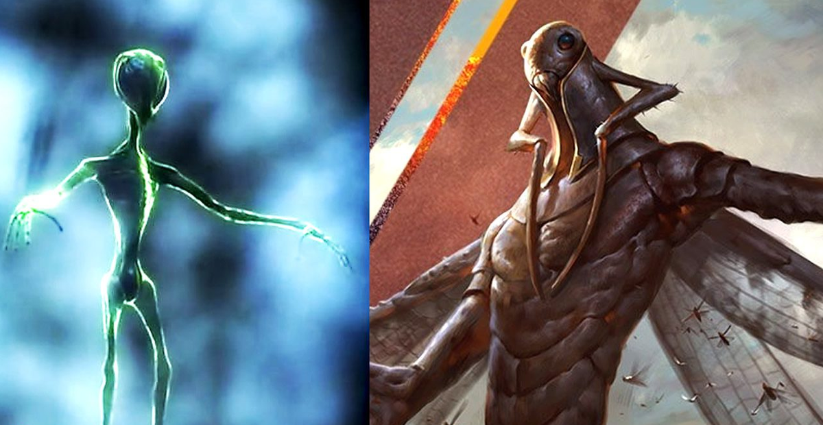 Изображение: History Channel