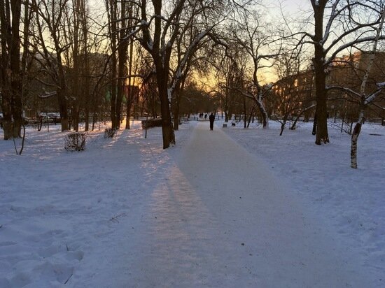     Мороз. Фото: saratov.mk.ru "МК в Саратове"