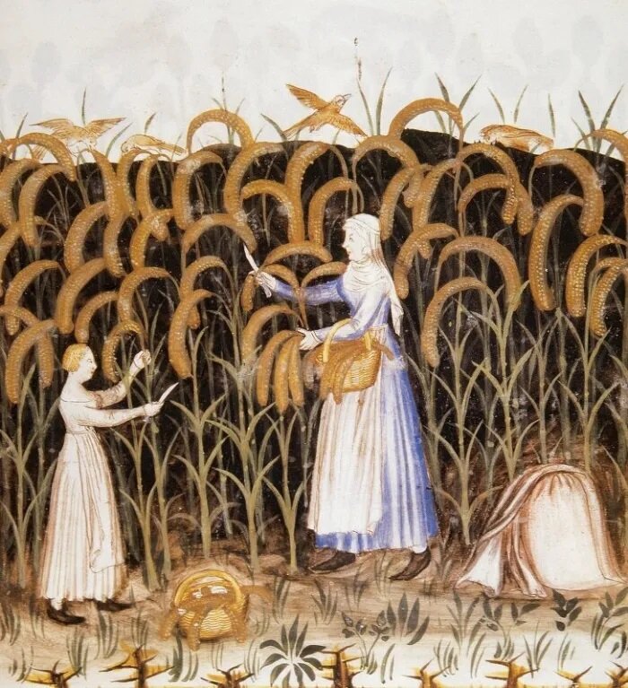 Это сегодня дети – короли, цари и императоры, причем не только для своих семей, но и для общества в целом.-9