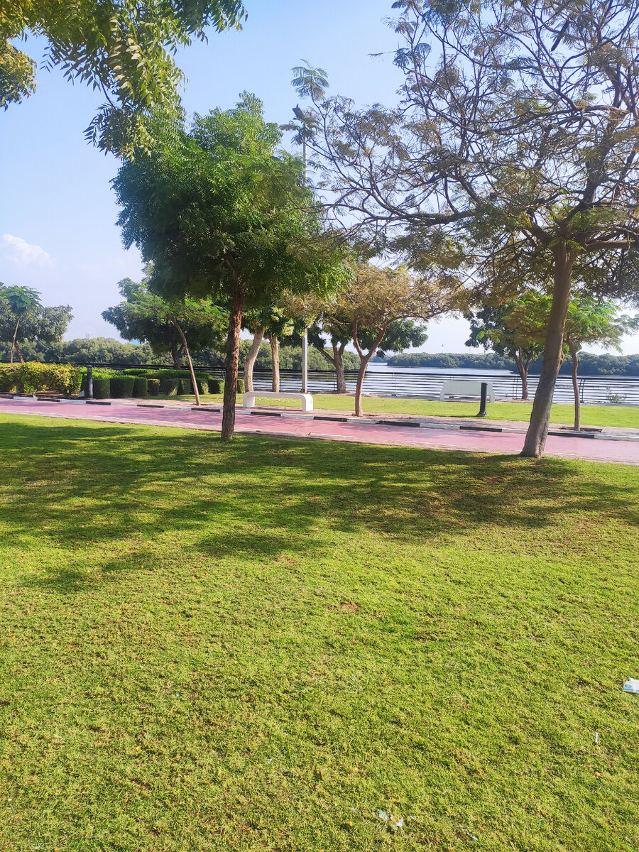 В Германии надо морально подготовиться к тому, что в некоторых сферах ...