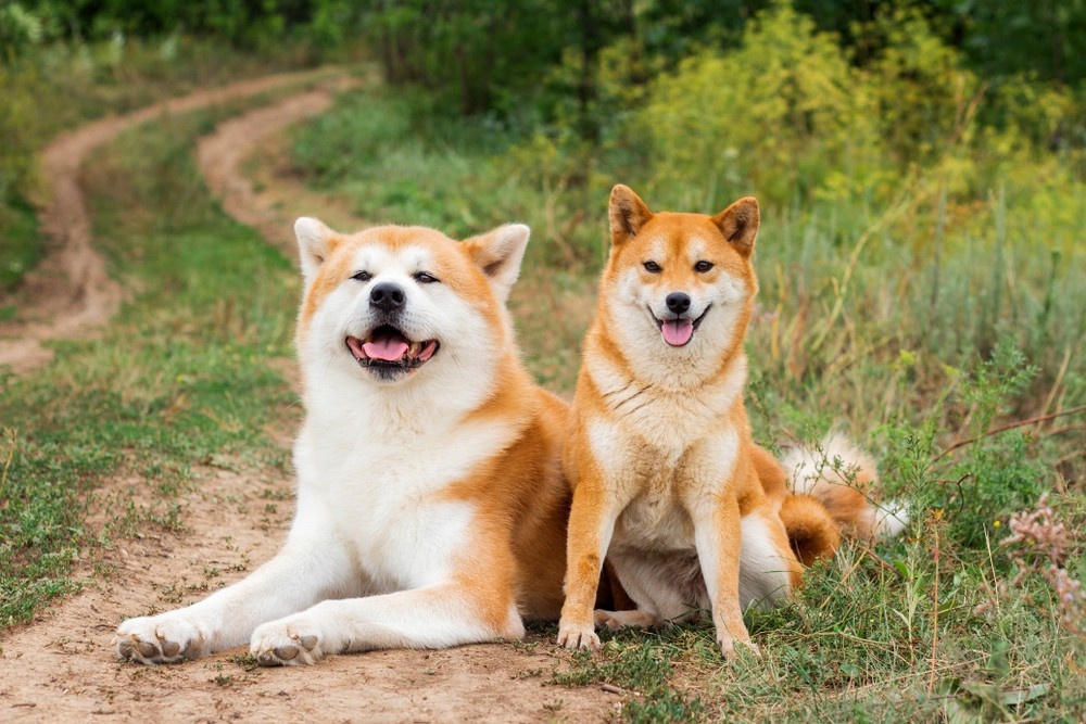       FunFamilyRu/ShutterStock/Fotodom.ru