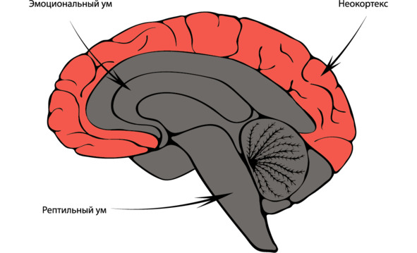 Яндекс-картинка