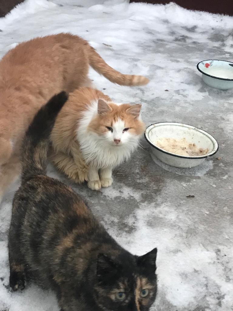 Мы требуем продолжения банкета!