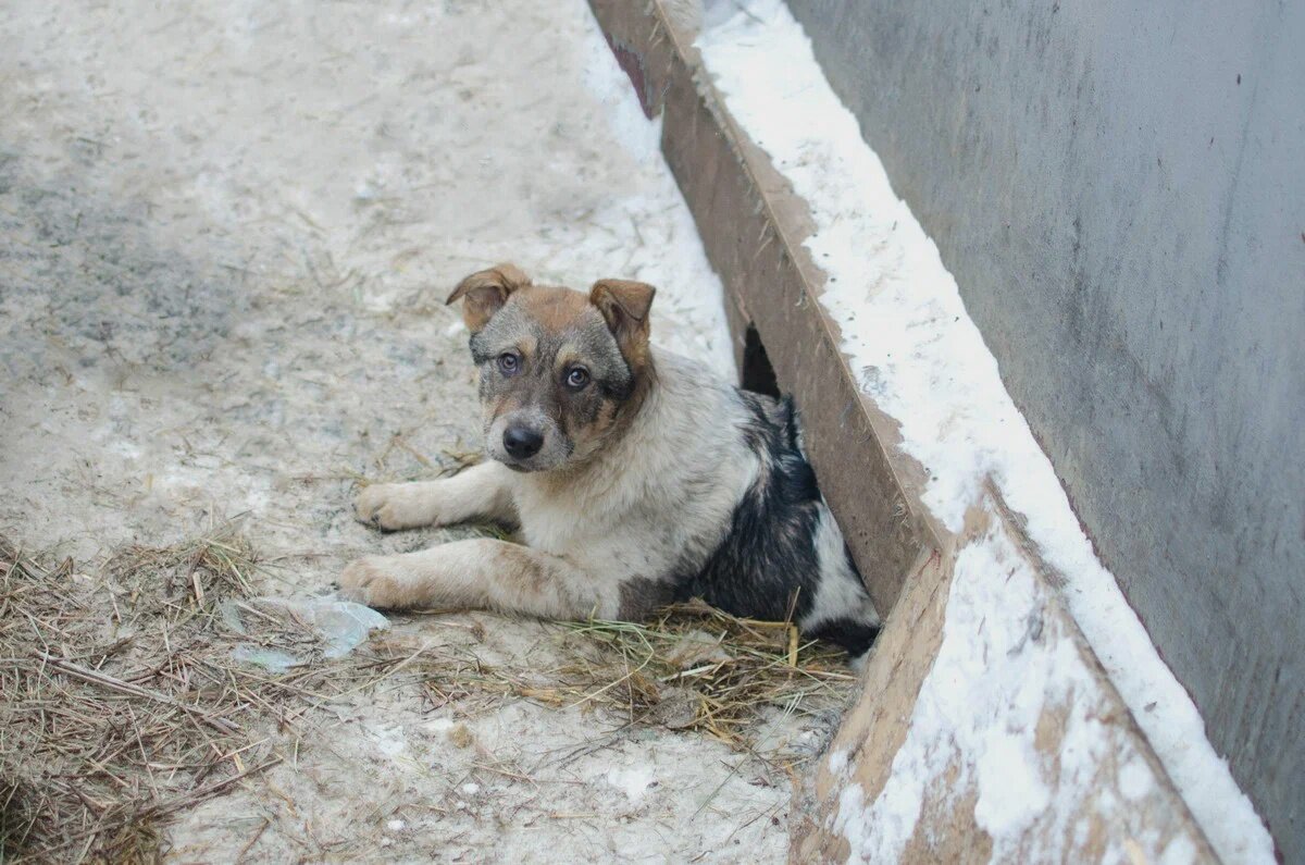 Фотография из личного архива