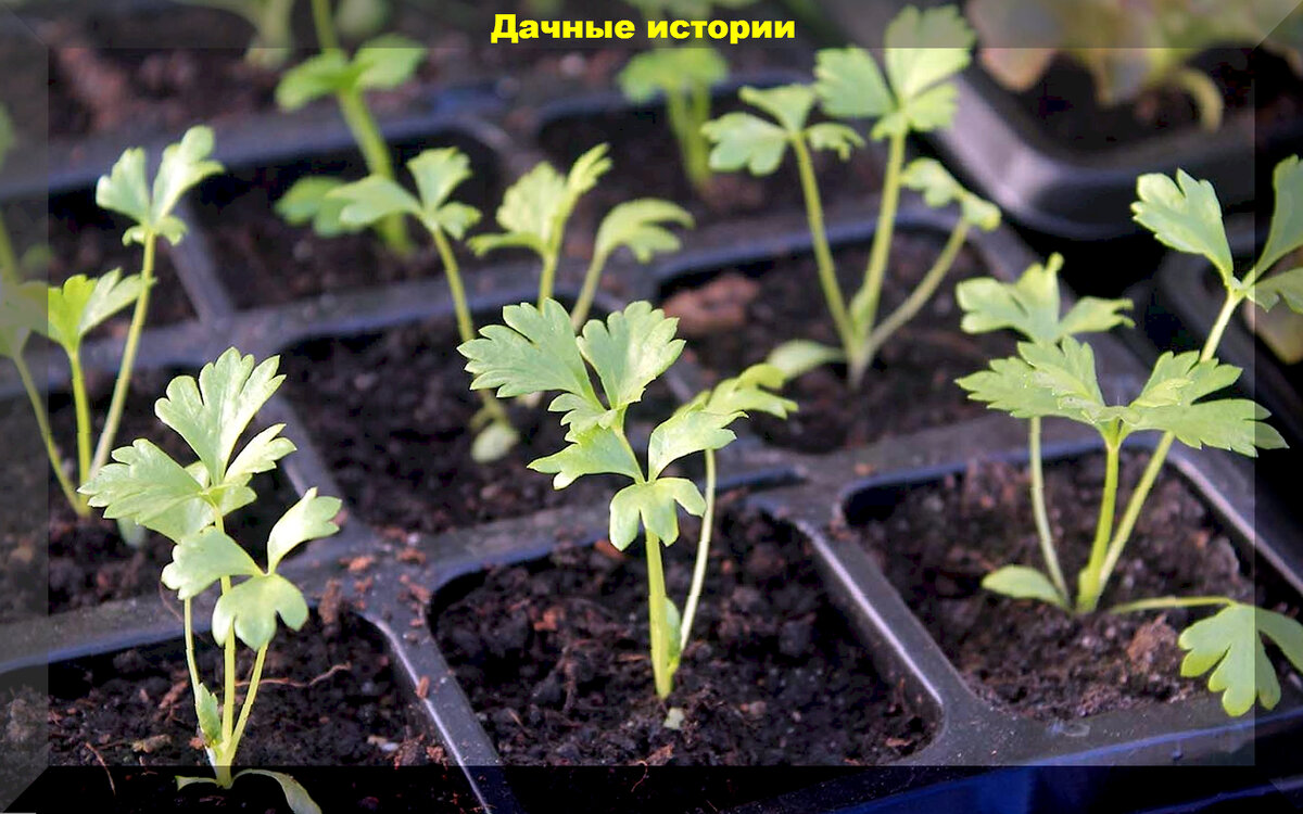 https://vk.com/photo-159774511_457258500