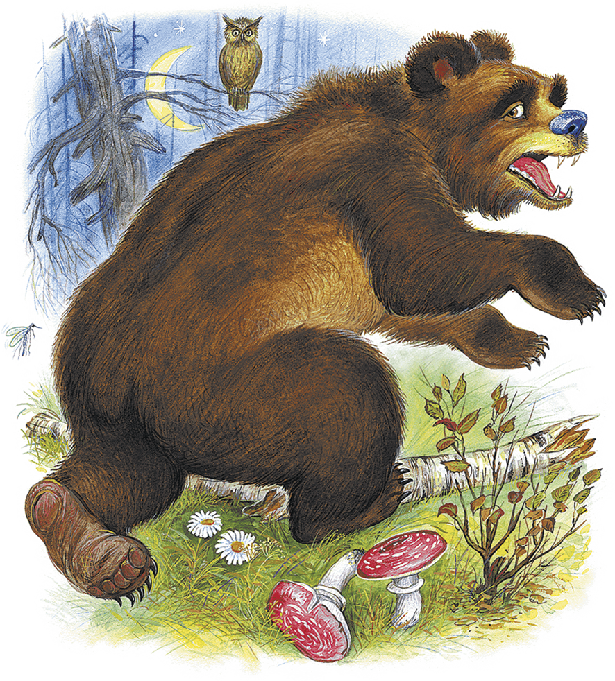 Рассказ сладкова медведь