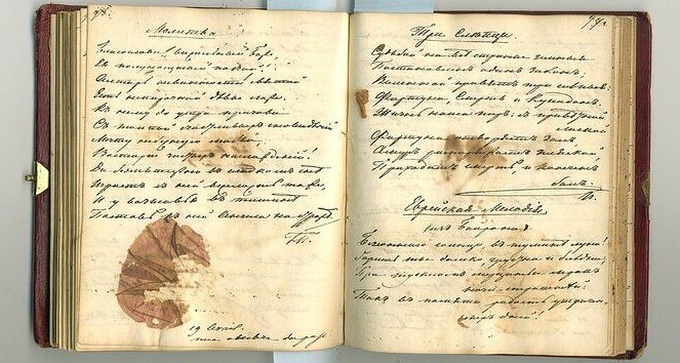 Записи из дневников писателей