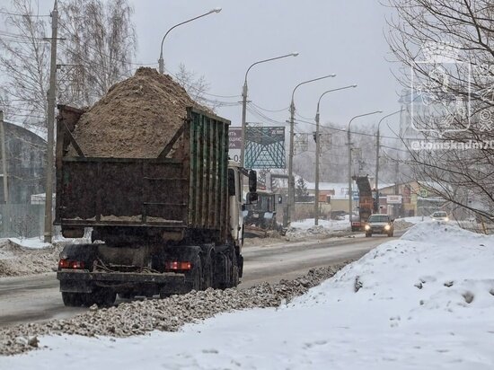     Фото: мэрия Томска